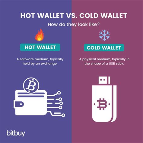 Cold Wallet vs. Hot